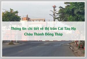 Thông tin chi tiết về thị trấn Cái Tàu Hạ Châu Thành Đồng Tháp