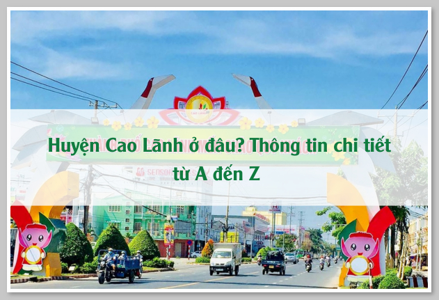 Huyện Cao Lãnh ở đâu? Thông tin chi tiết từ A đến Z