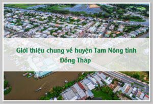 Giới thiệu chung về huyện Tam Nông tỉnh Đồng Tháp 