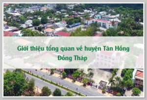 Giới thiệu tổng quan về huyện Tân Hồng Đồng Tháp