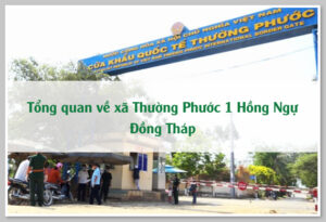 Tổng quan về xã Thường Phước 1 Hồng Ngự Đồng Tháp